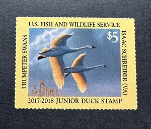 WTDstamps - #JDS25 2017 - Estampilla de pato junior de Estados Unidos - Como nueva OG NH - Imagen 1 de 2