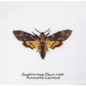 Kit point compté Papillon de nuit Acherontia antropos 563 Thea Gouverneur - Picture 1 of 6