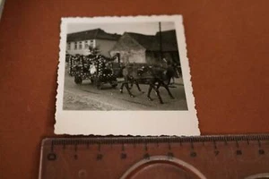 tolles altes Foto - Geschmückter Pferdewagen - Verden ? - 30-50er Jahre ? - Picture 1 of 1