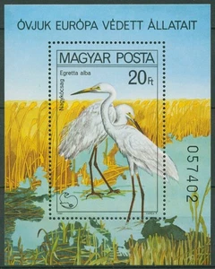 Ungarn 1980 Naturschutz, Vögel: Silberreiher Block 146 A postfrisch (C92569) - Picture 1 of 1