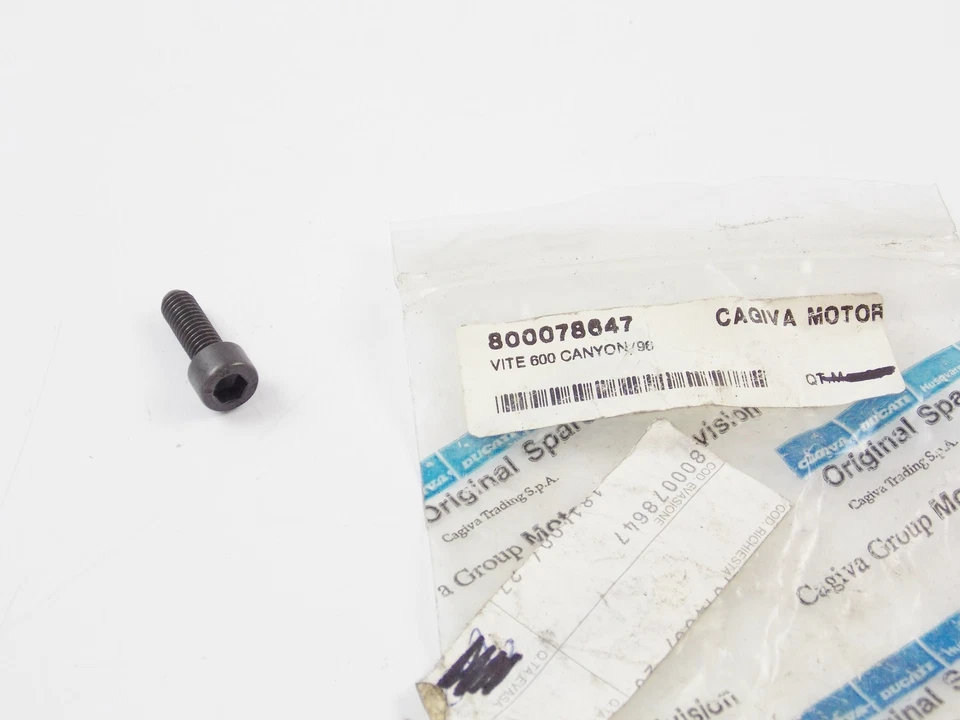 OEM CAGIVA 1996-95 CANYON 600 1994-95 W16-600 SISTEMA DE ENCENDIDO TORNILLO 800078647 Foto 1 de 1