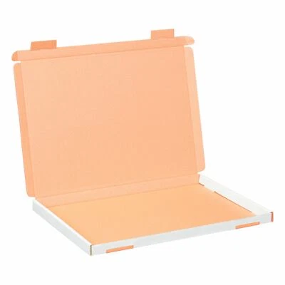 Großbriefkartons Grossbrief Versandkarton 350 x 250 x 20 mm weiß DIN A4 B4