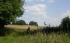 Photo 6x4 Rural Surrey Dunsfold Green Fields near Dunsfold in the very bo c2005