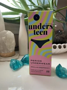 Period Panties Underwear Briefs Size Large Unders Teen Reg Absorbency Leakproof - Picture 1 of 5