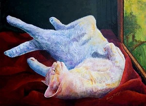 Cat Nap 8x10 CAT print by Artist Sherry Shipley - Picture 1 of 1