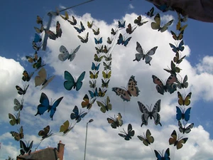 700 realistische wasserdichte Haltbarkeit Schmetterling Kühlschrankmagnete von 40 mm bis 170 mm - Bild 1 von 12