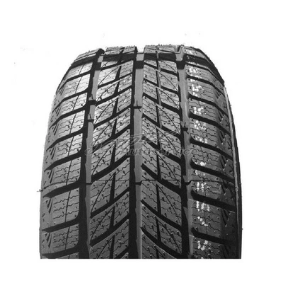 Doublestar Winterreifen 235/55 R 20 102H DW09 3PMSF BSW XL | 4583 - Bild 1 von 4