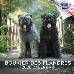 Bouvier des Flandres Wall Calendar 2026 Animal DOG PET Lover Gift Breed - Picture 1 of 2