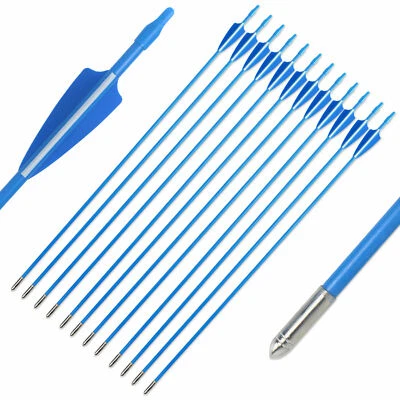 12pcs 28" Fiberglass Arrows Hunting Practice Archery Training Blue Vanes - Image 1 of 4