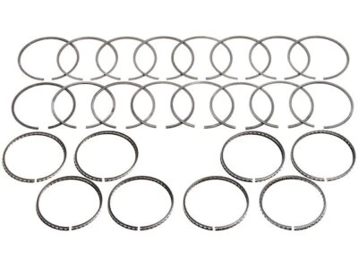 For 2004-2005 Workhorse Custom Chassis P42 Piston Ring Hastings 36474BHZY Foto 1 de 2