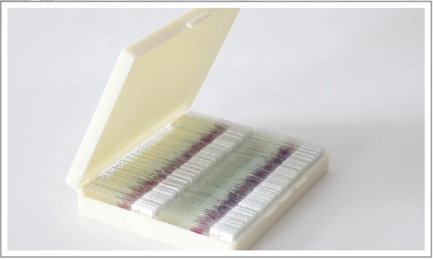 Conjunto de 100 piezas de diapositivas preparadas para microscopio de patología de mamíferos muestra Foto 1 de 4