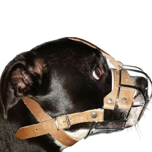 Strong Metal Wire Basket Dog Muzzle Staffordshire Bull Terrier Staffy , Staffie - Picture 1 of 18