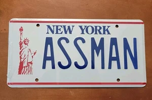 SEINFELD Nueva York Kramer ASSMAN proctólogo réplica de matrícula de metal NUEVO - Imagen 1 de 1