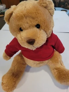 Aeropostale Bear - Picture 1 of 2