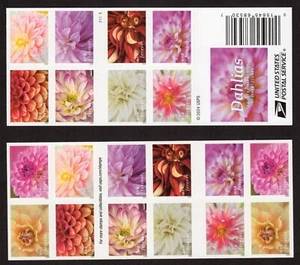 Scott #5991b (5982-91) Dahlias Booklet Pane of 20 Forever Stamps - MNH - Picture 1 of 1