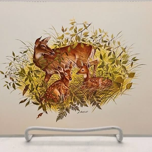 1979 Vintage Print White Tailed Deer Spotted Fawn Fern Leaves Art James Lockhart - Picture 1 of 3