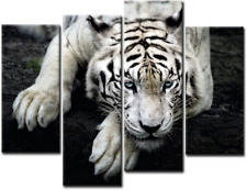 White Tiger Lie on Rock Wall Art Painting Canvas Picture Print Animal Home Decor