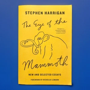 Eye of the Mammoth : New and Selected Essays - Paperback - Stephen Harrigan - Picture 1 of 2