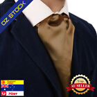 Bronze Soild Ascot Tie X-Long Size Stain Fashion Cravat Dan Smith C.C.Aq.G.020