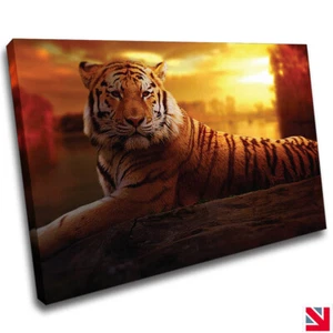 TIGER SUNSET BIG CAT ANIMAL MAMMAL CANVAS Wall Art Picture Print - Picture 1 of 3