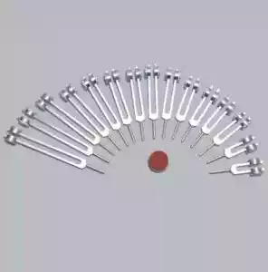 15 diapasones de curación de órganos humanos ponderados para terapia de sonido + activador gratuito - Imagen 1 de 8