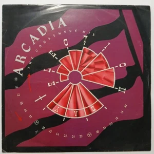 Arcadia - Election Day (The Consensus Mix) - 12” Vinyl Record - Picture 1 of 3