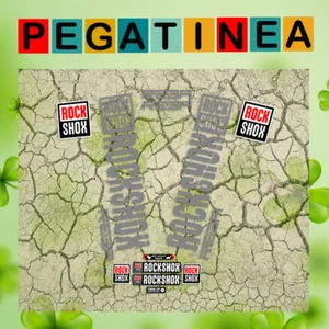 PEGATINAS HORQUILLA ROCK SHOX REBA EP09 2019 STICKERS AUFKLEBER DECALS FORK - Imagen 1 de 6