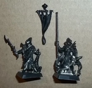 Warhammer Fantasy Dark Elf Corsair Musician & Standard Bearer METAL OOP - Picture 1 of 2