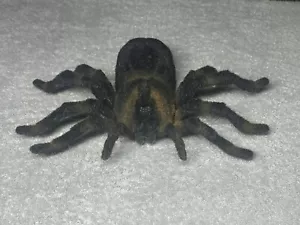 Fantasma Toys Toys “R” Us Remote Control Web Attack Tarantula no Remote (2014) - Picture 1 of 11