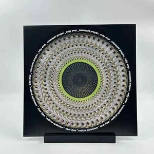 NEW Dua Lipa Radical Optimism /5000 Blood Records Zoetrope LP Vinyl In Hand