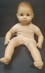 American Girl Bitty Baby Doll 2017 Brown Eye Molded Brown Hair 15 inch Cute - Picture 1 of 11