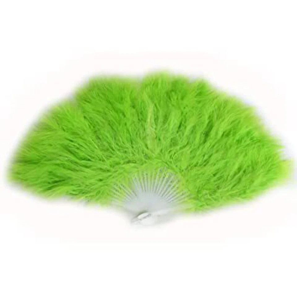 羽毛扇 — 第 1/1 张图片