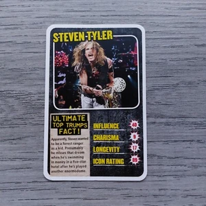 STEVEN TYLER (Aerosmith) - Kerrang Rock Legends Top Trumps Karte von 2014 - Bild 1 von 2