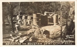LP27 publicado en Chattanooga TN Moonshine Alcohol Wildcat todavía postal RPPC - Imagen 1 de 2