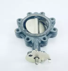 UNUSED NIBCO LD3010 BUTTERFLY VALVE 5" 250PSI EPDM-SEAT SS-STEM - Picture 1 of 5