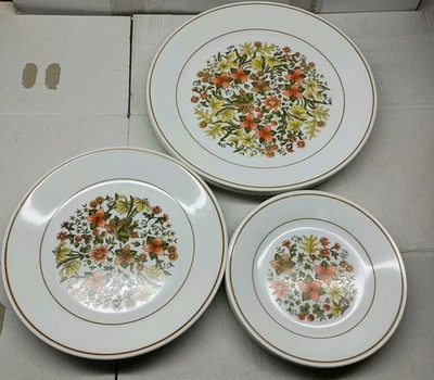 Lote de 12 platos de verano indios Corelle en 3 tamaños 4 cada cena almuerzo pan Foto 1 de 4