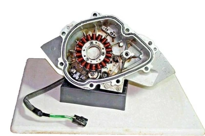 YAMAHA VX110 VX FX140 ESTATOR MAGNETO CON CARCASA AR210 SX210 6D3-81410-00-00 Foto 1 de 3