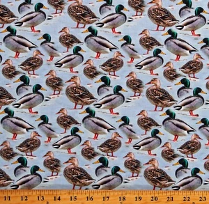 Cotton Mallards Ducks Animals 2024 Birds Blue Fabric Print by the Yard D786.09 - Picture 1 of 1