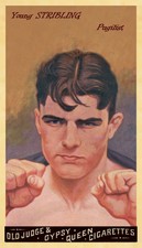 1895 Old Judge Cigarettes CTNW #14 William "Young" Stribling Boxing Card