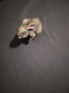 bunny rabbit Resin - Picture 1 of 4