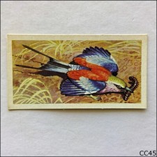 Brooke Bond Tea Card Tropical Birds 1961 #15 Lilac Breasted Roller (CC45)