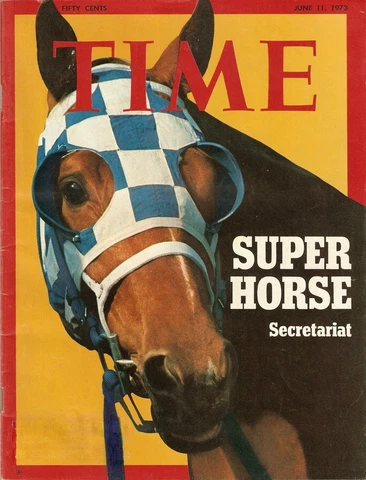 TIME Magazine SECRETARIAT Cover Poster in MINT Condition Cover