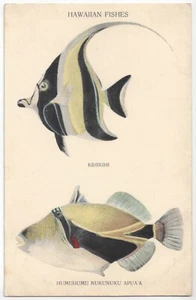 Hawaii & South Seas Curio Co. 1910 Serie FISH - Honolulu, postal hawaiana - Imagen 1 de 2