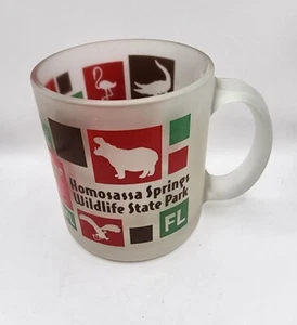 Vtg Homosassa Springs Florida Souvenir Frosted Glass USA-Home of Lu The Hippo - Picture 1 of 4