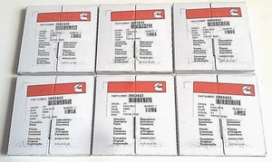 +.020 Oversize Piston Ring Set 89-98 Dodge Cummins 6BT 3.9 5.9 12V 3802422 .25mm - Foto 1 di 1