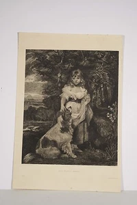Gravur 19. Jh. von ap Sir J. Reynolds grav. L. Miss F. Harris Kinder- und Hundesäle - Bild 1 von 2