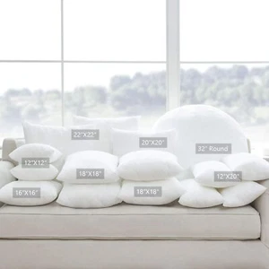 Brand New -- 2Pcs Longhui Bedding Pillow Inserts / Cushion Throw Pillow Covers - Picture 1 of 44