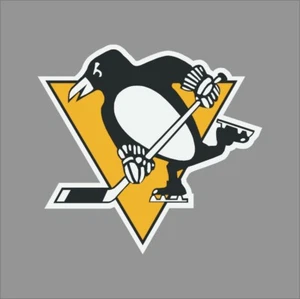 Pittsburgh Penguins #3 NHL Team Pro Sports Vinyl Sticker Decal Car Window Wall - Picture 1 of 4