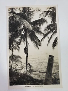 Man Climbing Coconut Palm RPPC West Indies 1940's unposted. - Picture 1 of 2