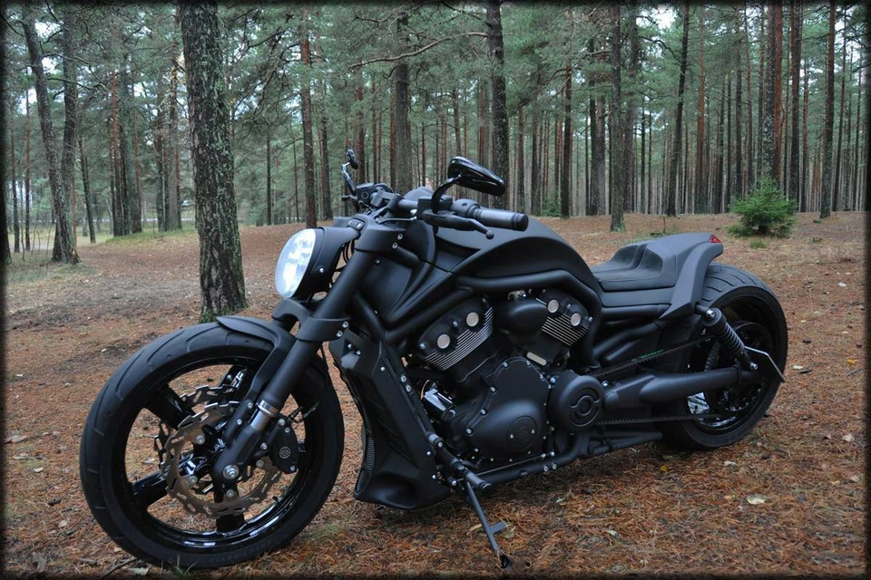 Espejos retrovisores laterales negros especiales para motocicleta Harley Davidson Night Rod EE. UU. Foto 1 de 4